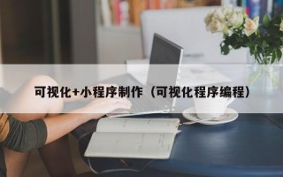 韩城可视化+小程序制作（可视化程序编程）
